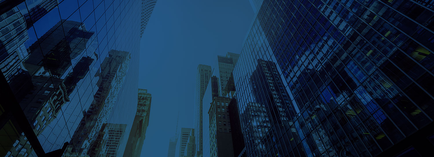 LGIS Group Announces New Team Members  in Response to Rapid CRE Industry Growth